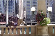 Chicago - 02