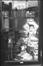 Chicago - 22