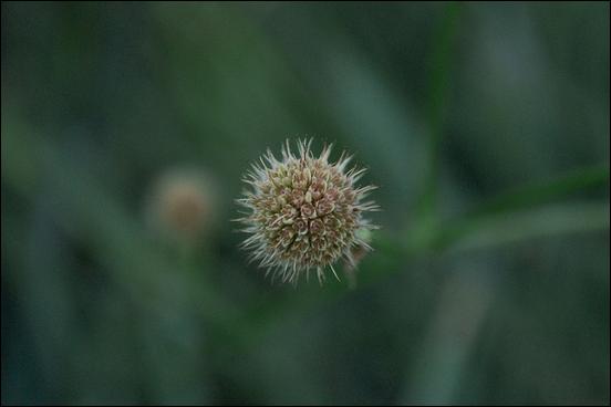 Green (color) - 05