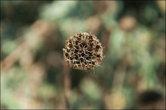 Green (color) - 07