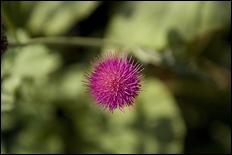 Green (color) - 08
