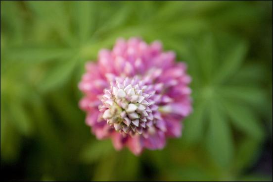 Green (color) - 10
