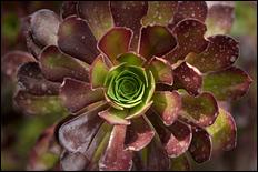 Green (color) - 15