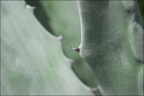 Green (color) - 21