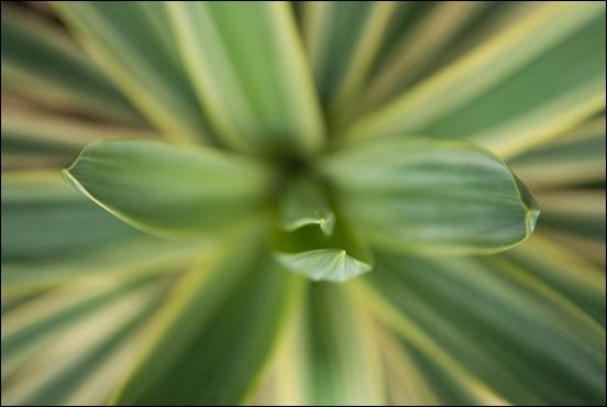Green (color) - 22