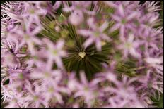 Green (color) - 25