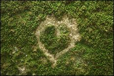 Green (color) - 26