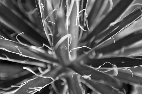 Green - 28