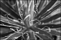 Green - 28