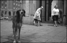 Krakow 1993 - 13