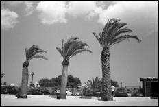 Sicilia - 06