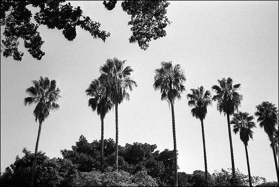 Sicilia - 07
